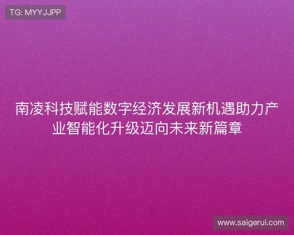 南凌科技赋能数字经济发展新机遇助力产业智能化升级迈向未来新篇章